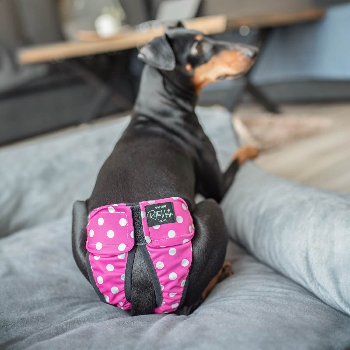 Lóðabuxur - XS - 29-40 cm