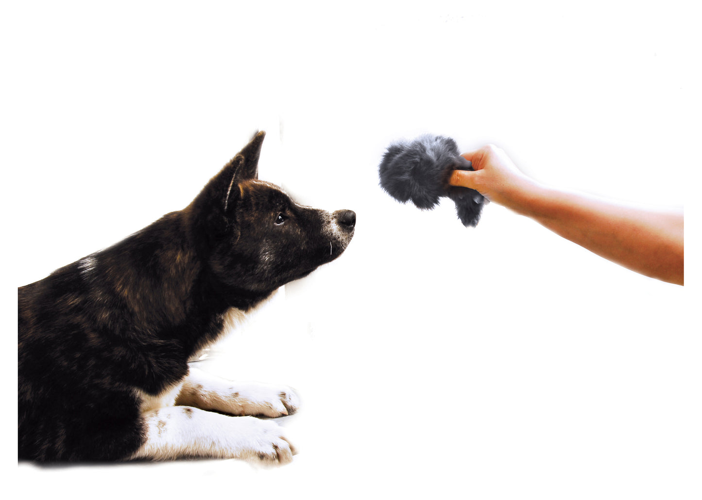Show Tech Squeaky fur mouse