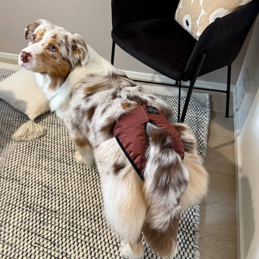 Lóðabuxur - L - 49-67 cm