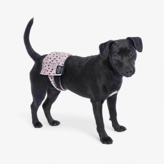 Rakkabelti - S - 35-51 cm