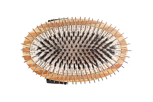 Bass Hybrid Groomer - Palm style - A5