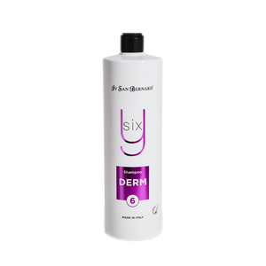 DERM SHAMPOO Y6